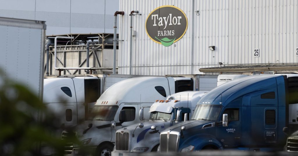 Taylor Farms lettuce sample produced false positive for cyclospora, FDA says Taylor Farms lettuce sample produced false positive for cyclospora, FDA says