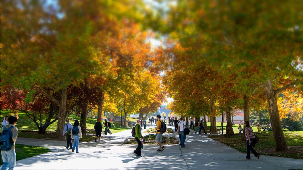 Student Affairs launches health and wellness questionnaire for incoming students - @theU