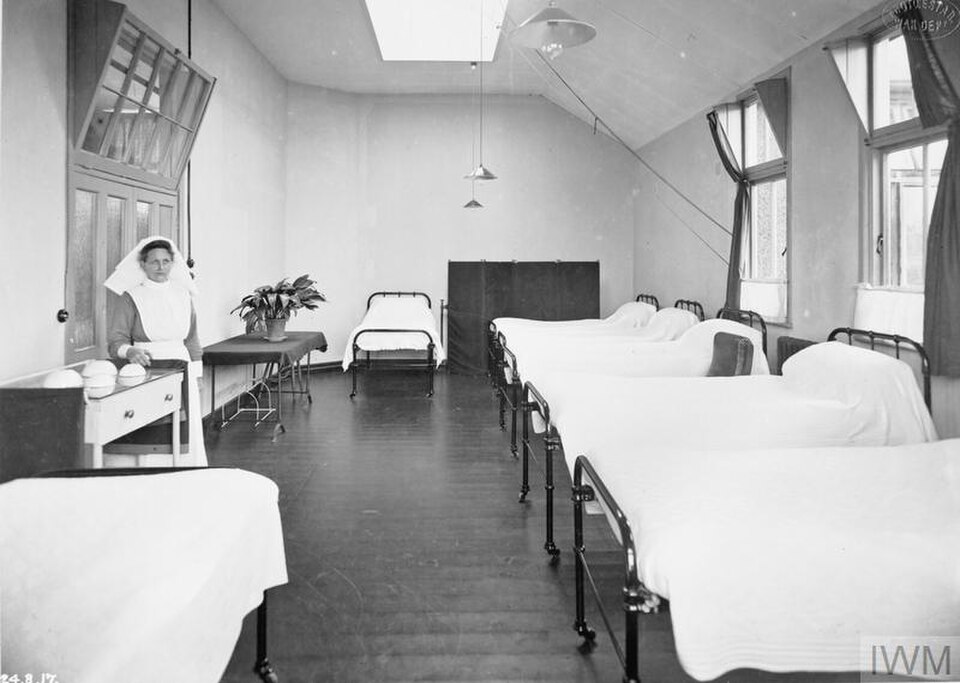 Much after Switzerland’s landmark 1942 bill, eight EU member states have voted to legalise assisted dying